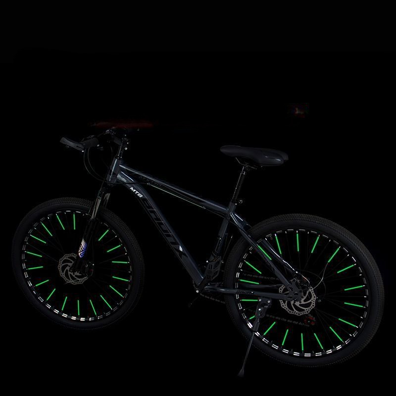 Juego de 12 reflectores para r - Spoke Reflector Set reseña y precio